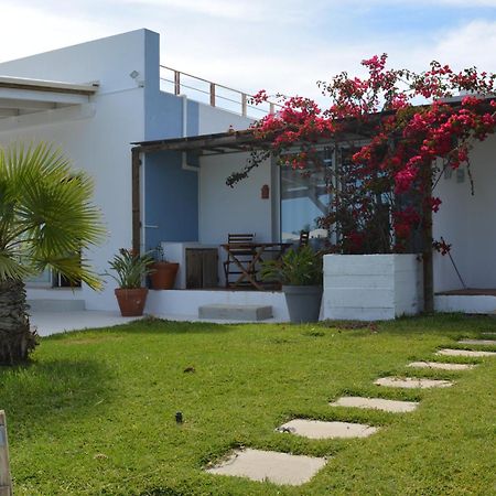 Quinta Luz Do Sol Bed and Breakfast Moncarapacho Eksteriør billede